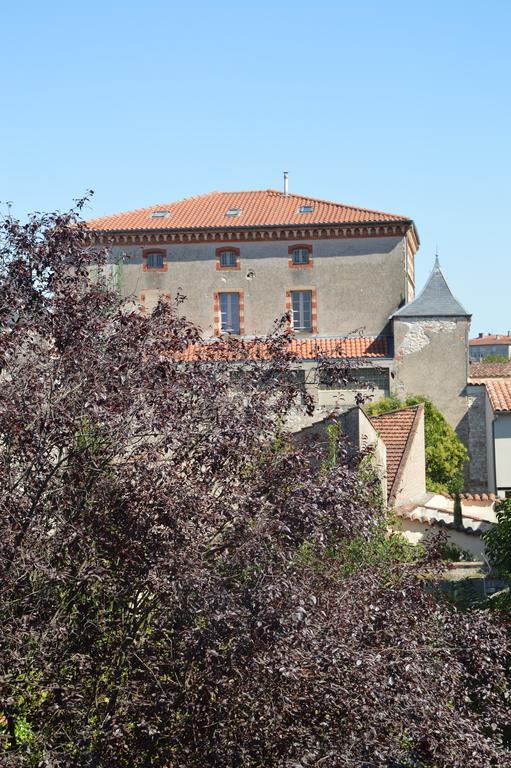 Volets Bleus Et Briques Rouges Albi