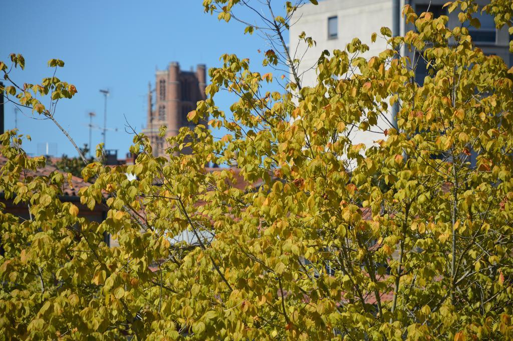 Apartment Volets Bleus Et Briques Rouges